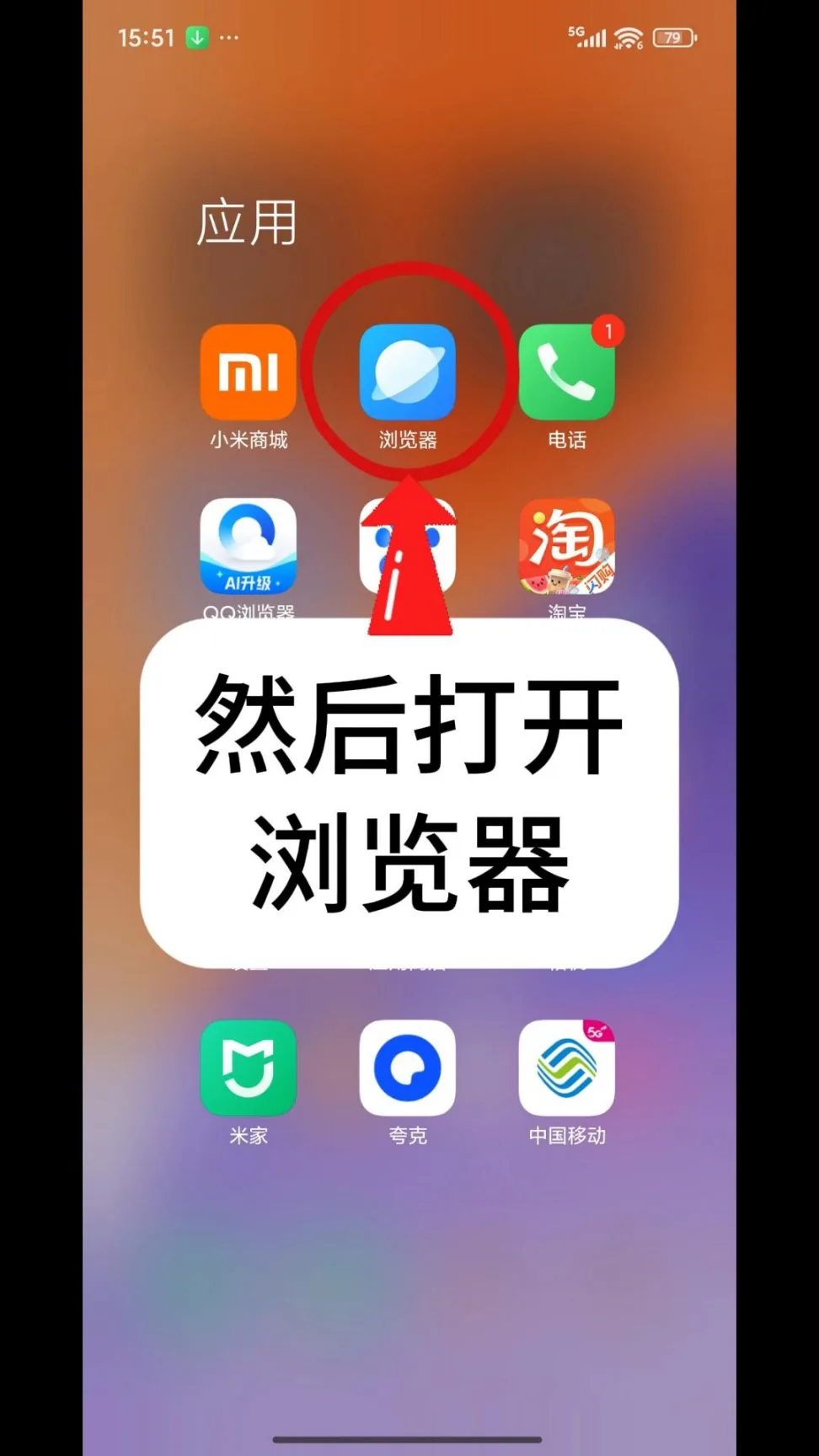 第3步：然后打开浏览器