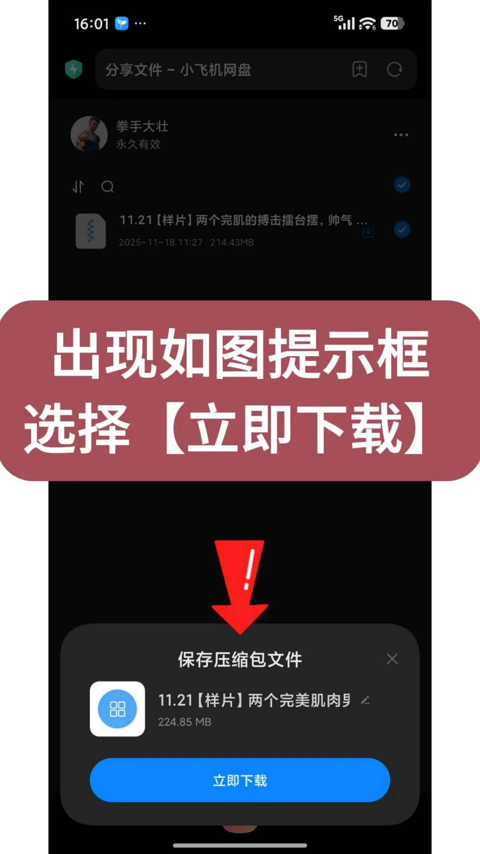第8步：出现如图提示框选择【立即下载】