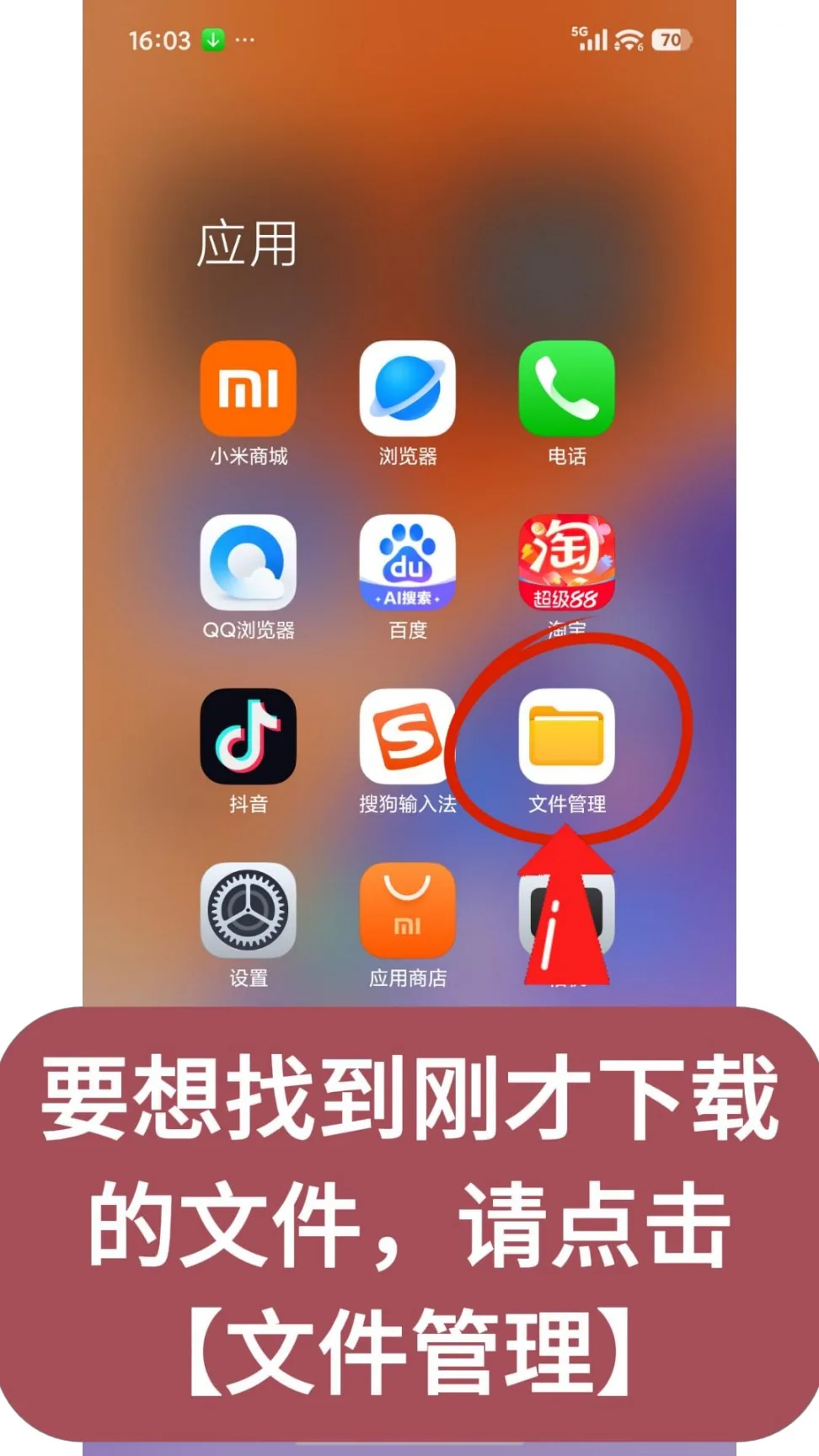第20步：要想找到刚才下载的文件，请点击【文件管理】